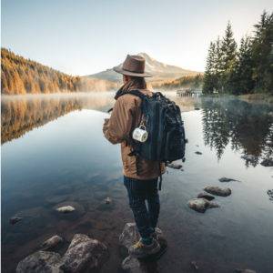 Reiss-Profile & Coaching: Finde den Raum, in dem du leben kannst.